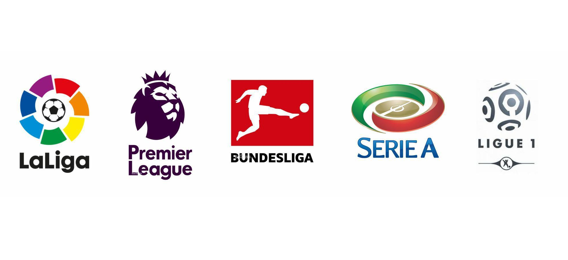 了这个精致 了这个精致