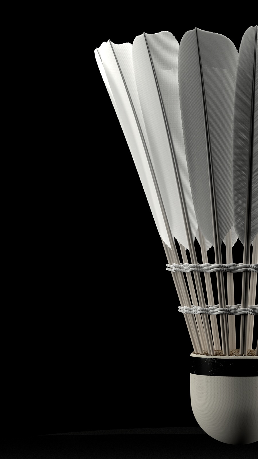 无疑是她们 无疑是她们