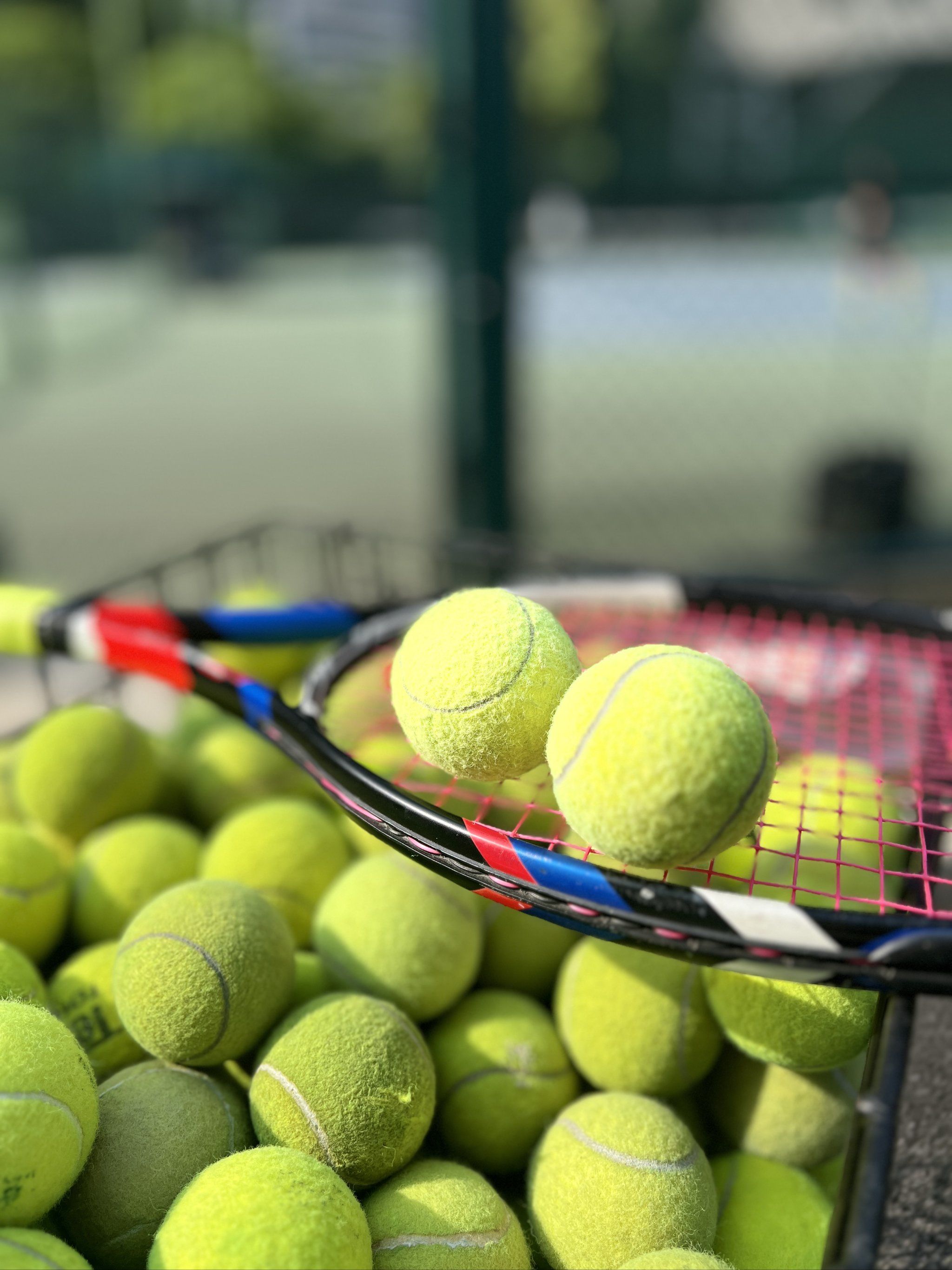 磨与身体对 磨与身体对